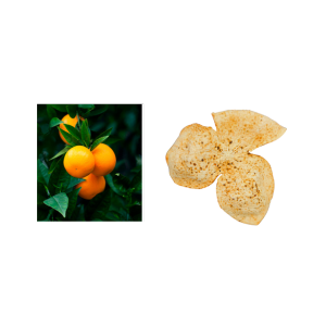 Citrus reticulata pericarpium/ קליפת מנדרינה