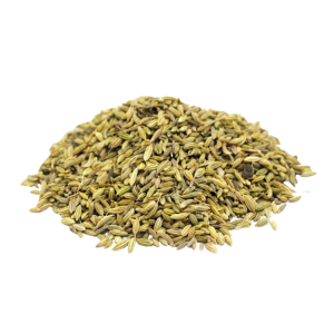 Foeniculum vulgare /שומר